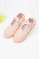 Pink women ballet shoes Top view